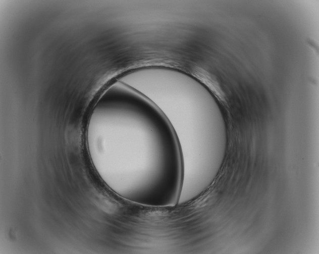 X0000096720156200802051107