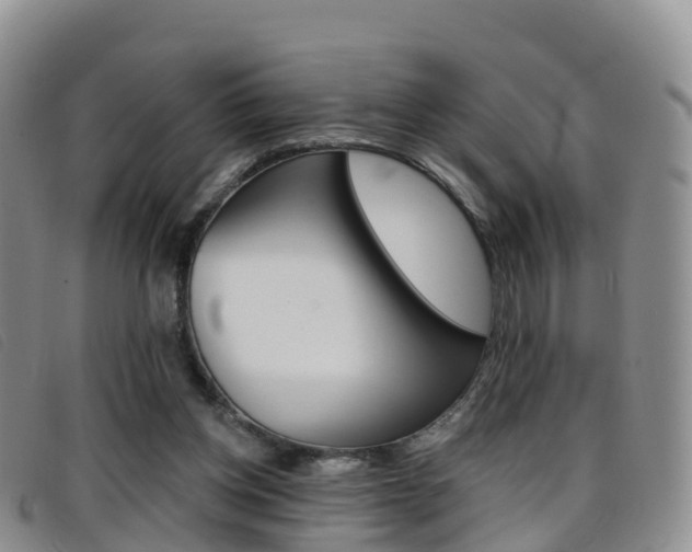 X0000096720158200802051107