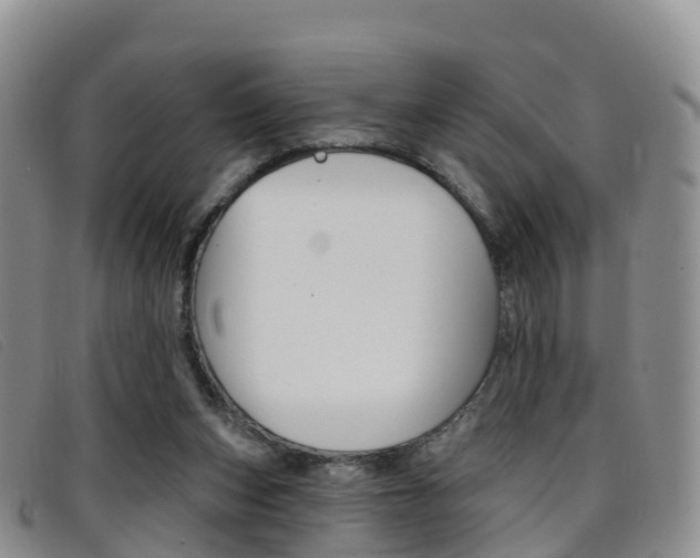 X0000096720159200802051107