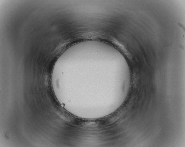 X0000096720161200802051107