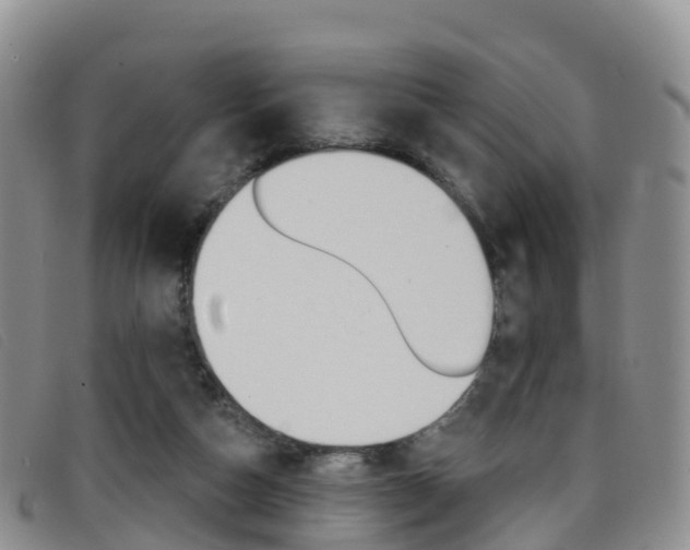 X0000096720162200802051107