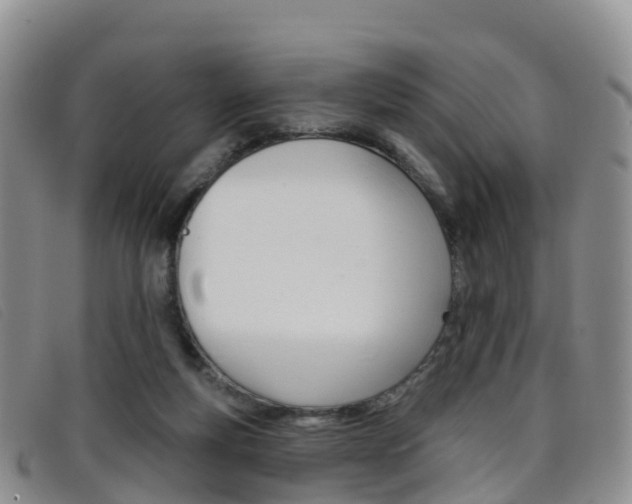 X0000096720163200802051107