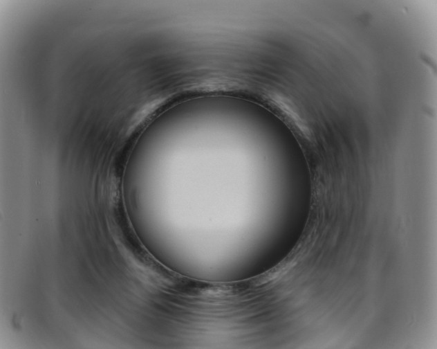 X0000096720164200802051107