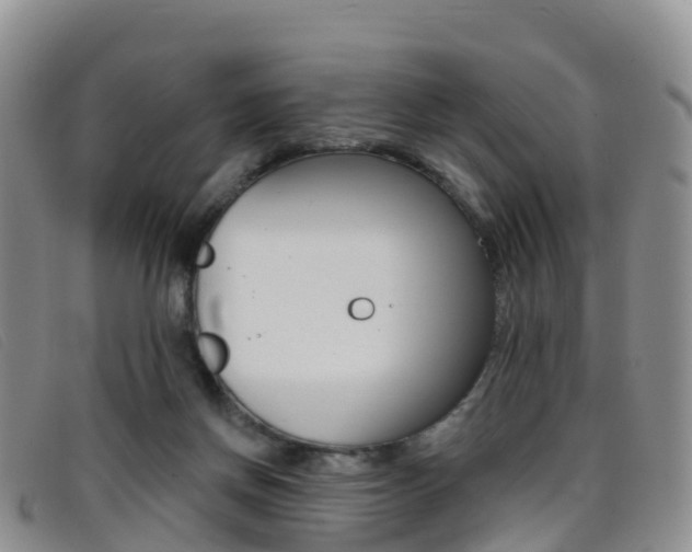 X0000096720166200802051107