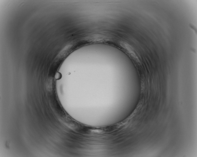 X0000096720167200802051108