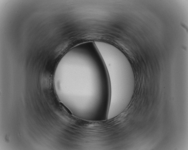 X0000096720168200802051108