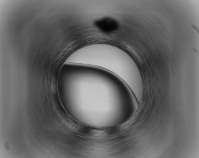 X0000096720170200802051108