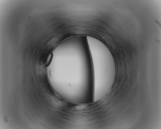X0000096720172200802051108
