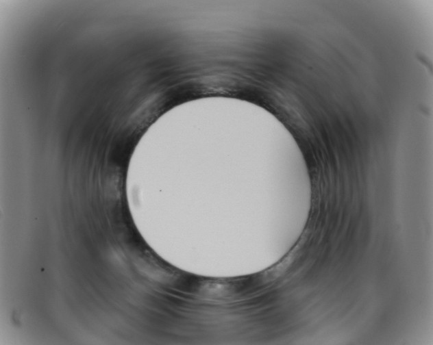 X0000096720174200802051108