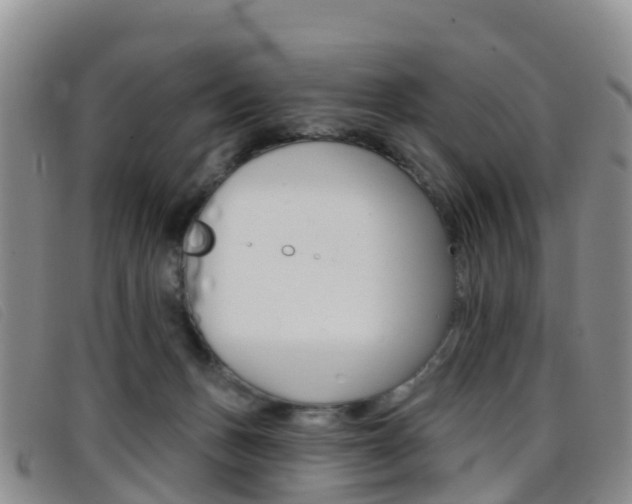 X0000096720175200802051108