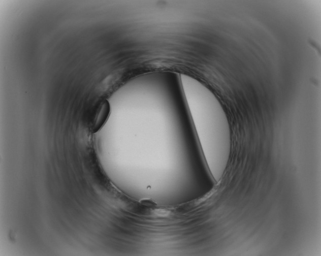 X0000096720176200802051108
