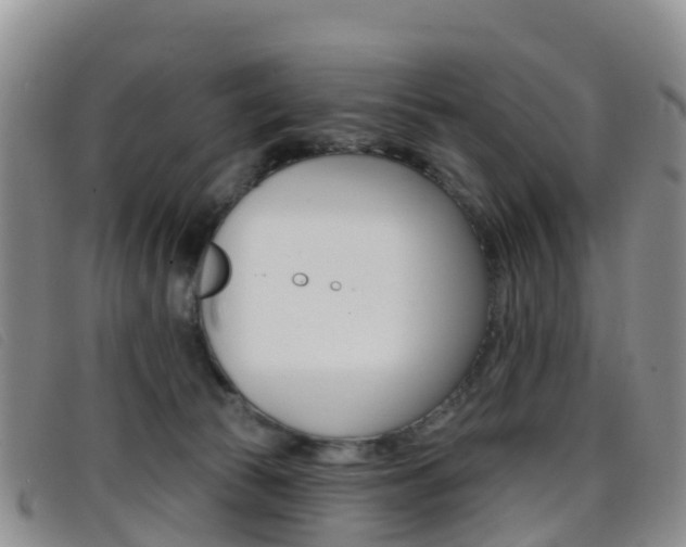 X0000096720177200802051108