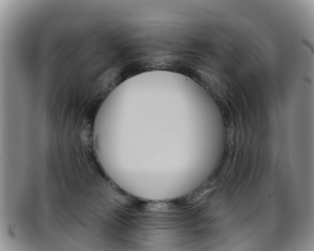 X0000096720181200802051108