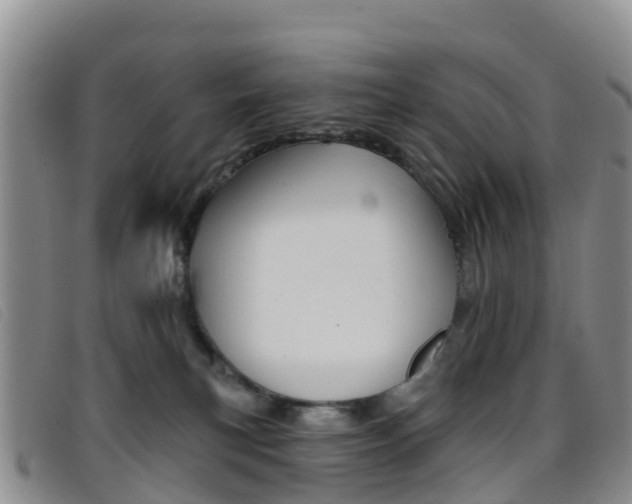 X0000096720183200802051108