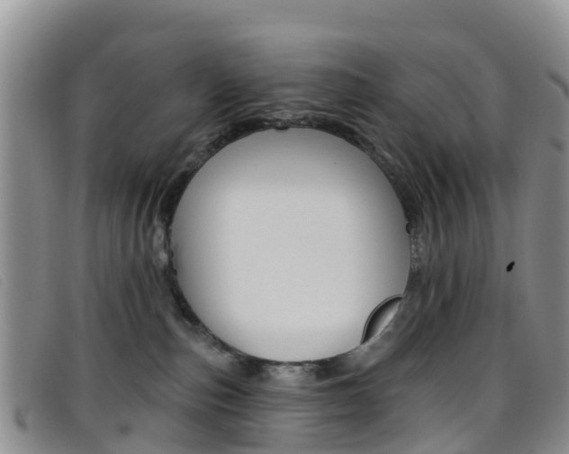 X0000096720187200802051108