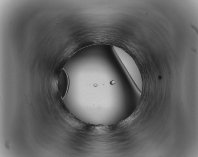 X0000096720188200802051108