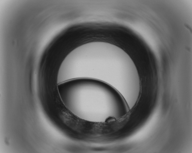 X0000096720190200802051108