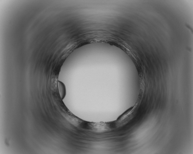 X0000096720191200802051108