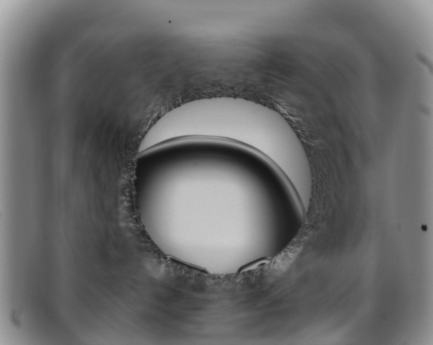 X0000096720192200802051108