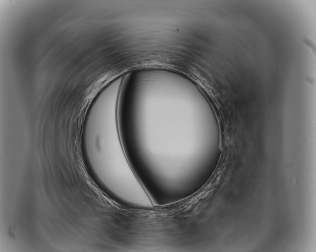 X0000096720193200802051107