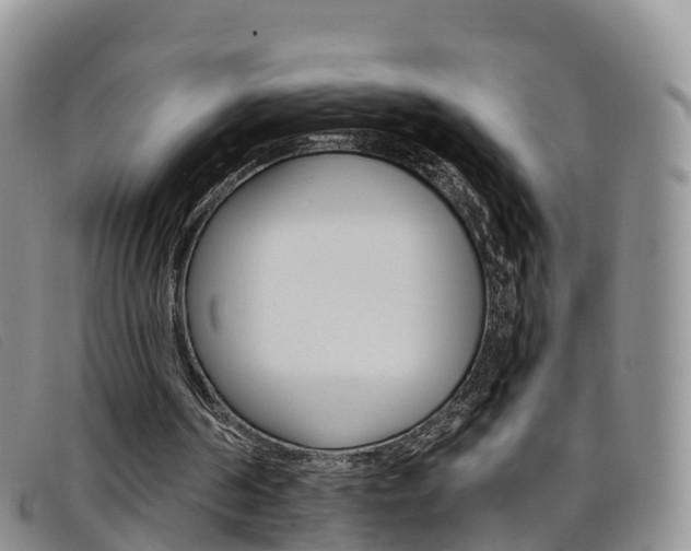 X0000096720194200802051107