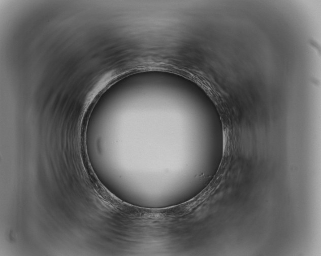 X0000096720195200802051107