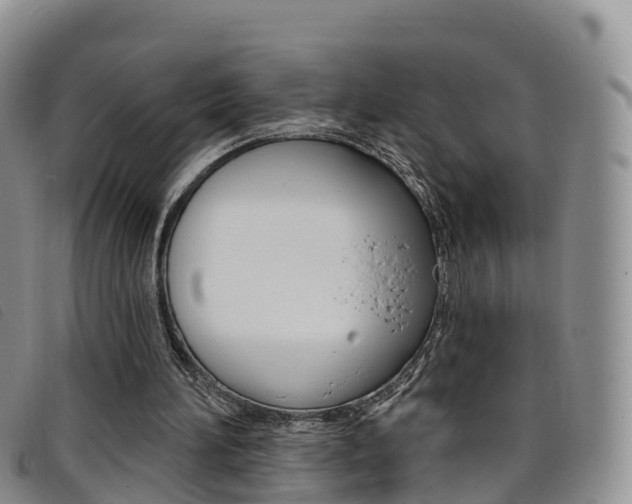 X0000096720196200802051107