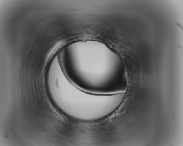 X0000096720197200802051107