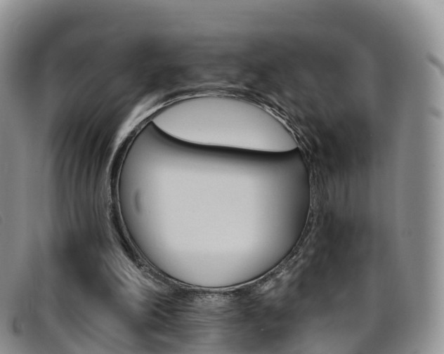 X0000096720198200802051107