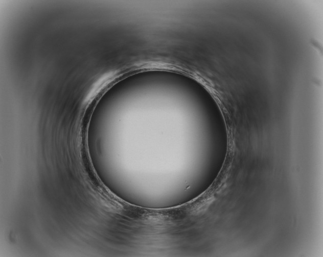 X0000096720199200802051107