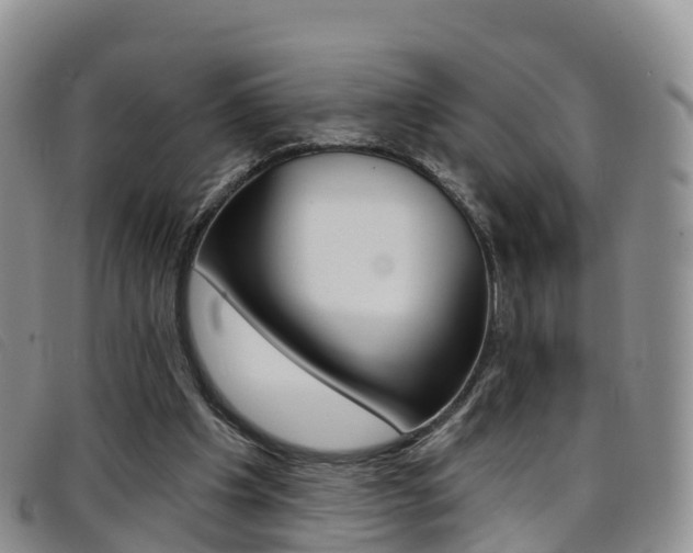 X0000096720201200802051107