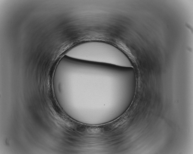 X0000096720202200802051107