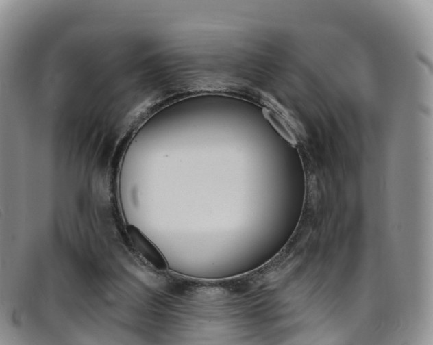 X0000096720203200802051107
