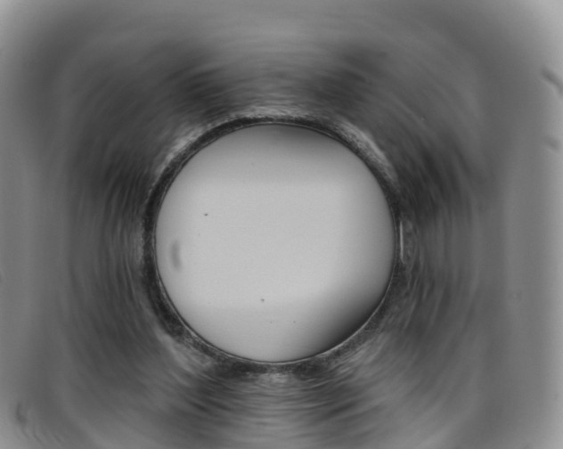 X0000096720204200802051107