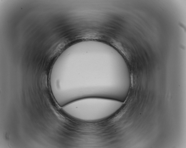 X0000096720205200802051107
