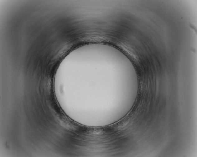 X0000096720206200802051107