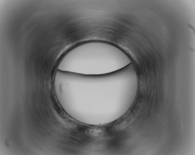 X0000096720208200802051107