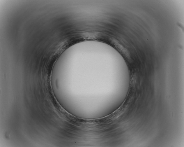X0000096720209200802051107