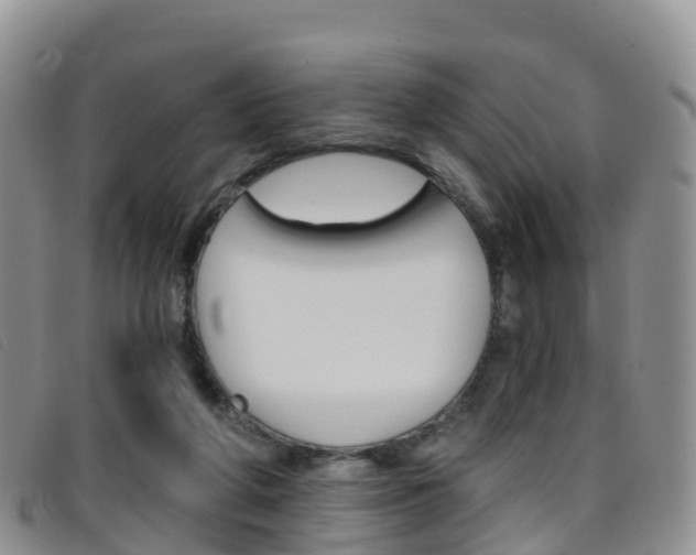 X0000096720210200802051107