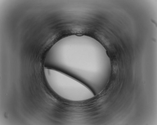 X0000096720211200802051107