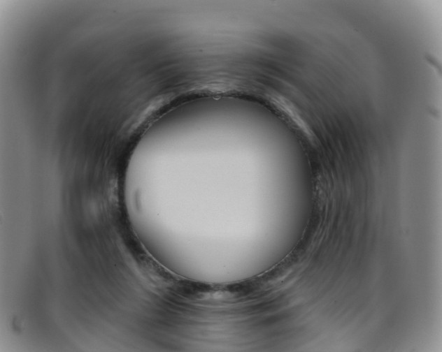 X0000096720212200802051107