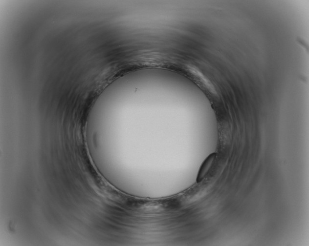 X0000096720213200802051107