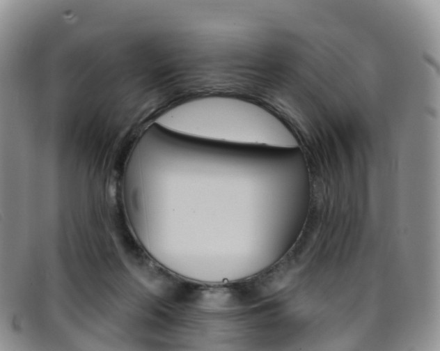 X0000096720214200802051107