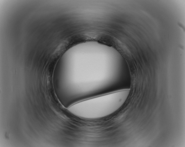 X0000096720215200802051107