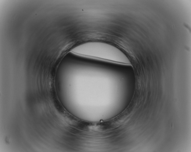 X0000096720216200802051107