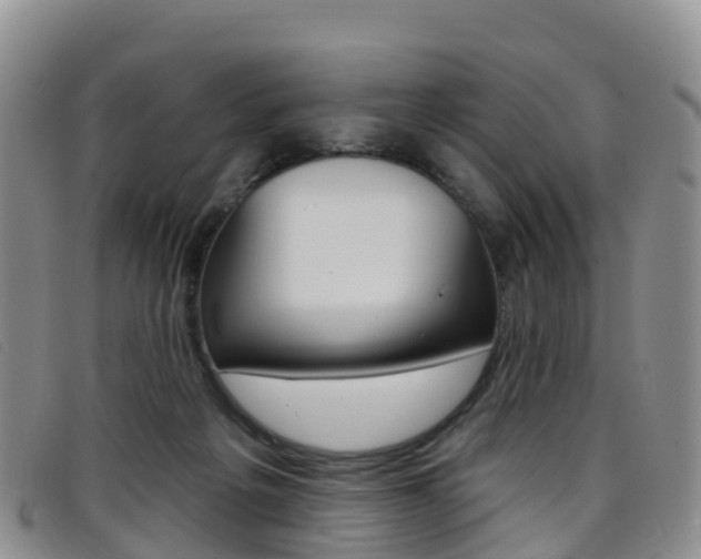 X0000096720217200802051107
