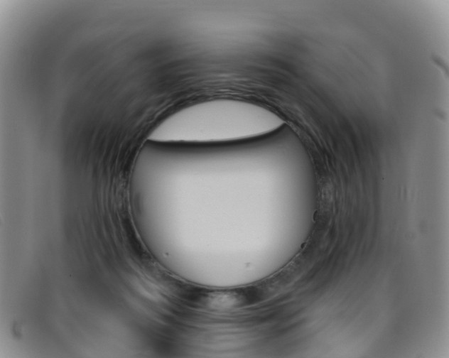 X0000096720218200802051107