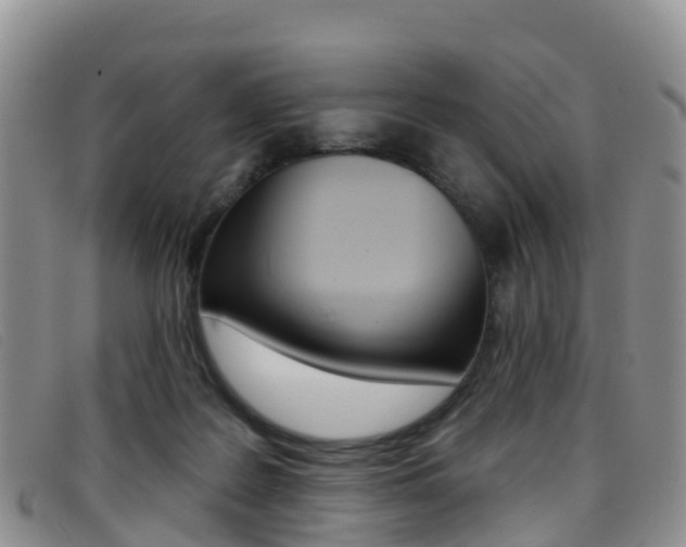 X0000096720219200802051107