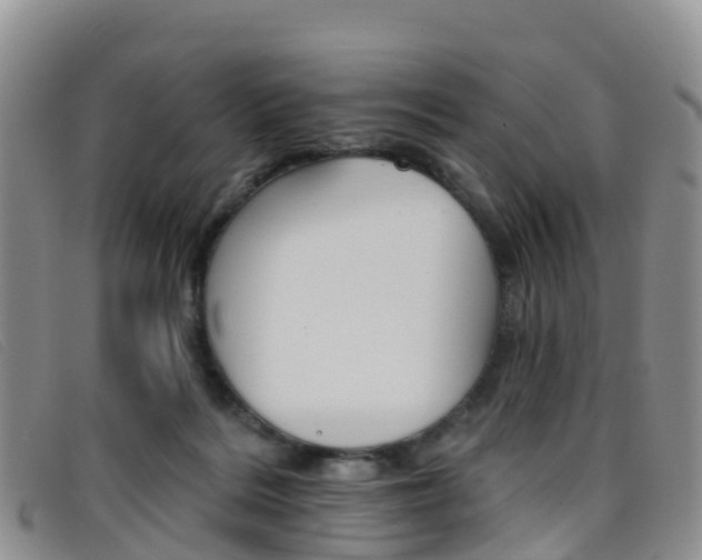 X0000096720220200802051107