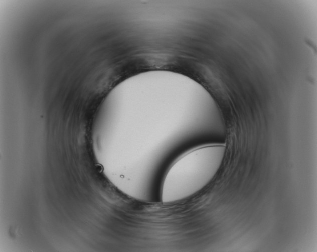 X0000096720221200802051107